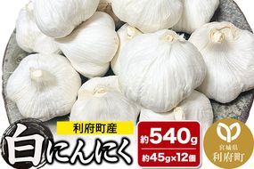 宮城県利府町産 白にんにく（約45g×12個 約540g）野菜 国産 新鮮|06_mlc-020101