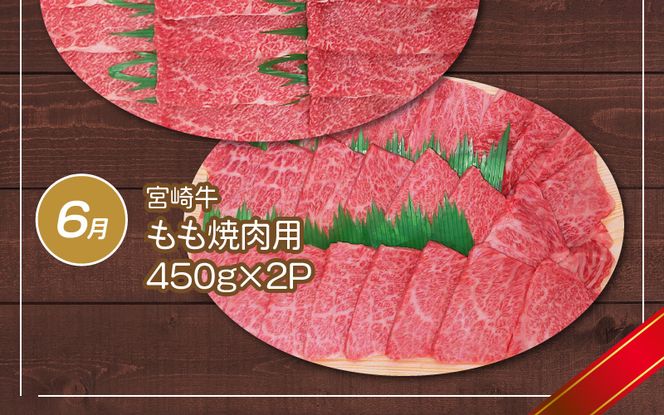 宮崎牛 特選 6ヵ月定期便 ステーキ 焼肉 すき焼き　N061-ZH021