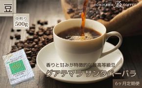 【6ヶ月定期便】自家焙煎コーヒー豆専門店とみかわの「グアテマラ　サンタバーバラ」500g（豆） ※北海道・沖縄・離島への配送不可