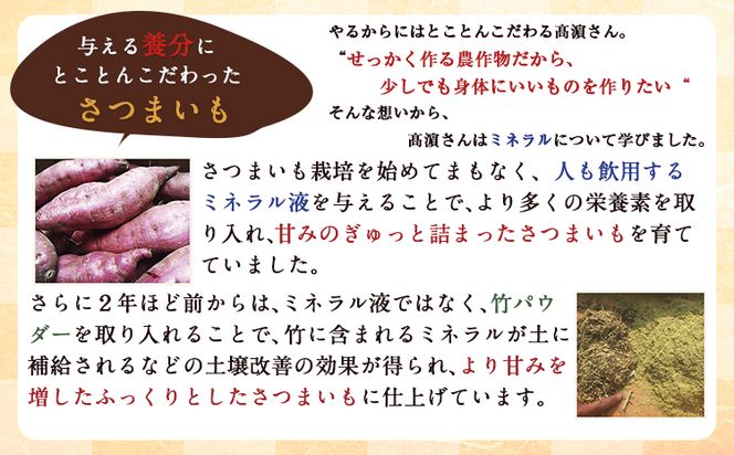 熊本県大津町産 タカハマ観光農園の紅はるか 約5kg(大中小ミックス)《1月上旬-4月末頃出荷》 さつまいも 芋 スイートポテト 干し芋にも---so_tkhmbni_af14_24_9500_5kg---