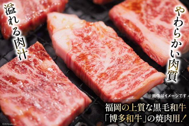 訳あり 博多和牛 A4～A5 切り落とし 焼肉 (肩ロース or バラ）500g×2 計1kg 化粧箱 / MEAT PLUS / 福岡県 筑紫野市 [21760470] 肉 牛肉 和牛 黒毛和牛 冷凍