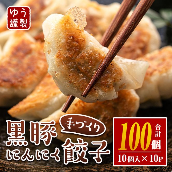 isa590 手づくり黒豚にんにく餃子(計100個・10個入り×10P)鹿児島 手作り 生餃子 ギョウザ 黒豚 豚肉 冷凍食品 おかず おつまみ 惣菜 小分け 焼くだけ 簡単調理 冷凍便【工房ゆう】