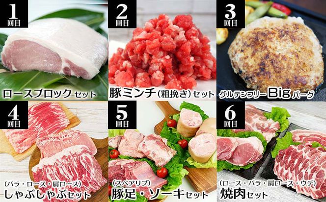 【定期便12回】沖縄県産豚　くいまーる豚　豪華食べ尽くしセット