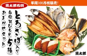 年間100万枚販売！魚太郎名物【とろさば】入り・自家製ひもの5種おまかせセット★鮮度にこだわる魚屋が丁寧に手作業で作りました！ ※北海道・沖縄・離島への配送不可 ※着日指定不可