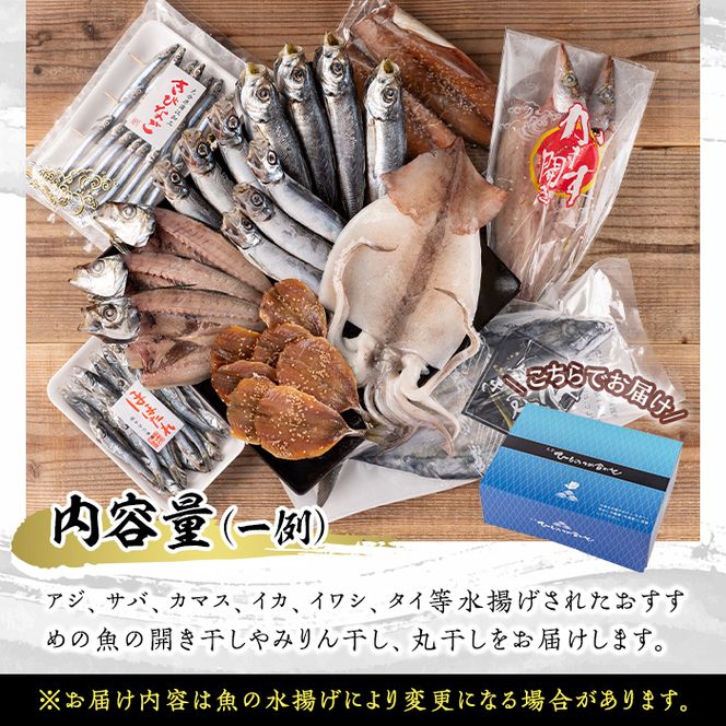 職人おまかせ干物セット (合計10品以上) 干物 あじ 鯵 さば 鯖 丸干し みりん干し 開き 魚 海鮮 冷凍 詰め合わせ セット 大分県 佐伯市【CL63】【(有)ヤマク海産】