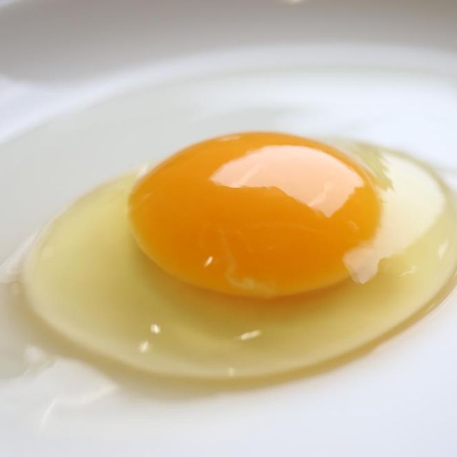 杉山養鶏場の人気商品の詰め合わせ（大）◇