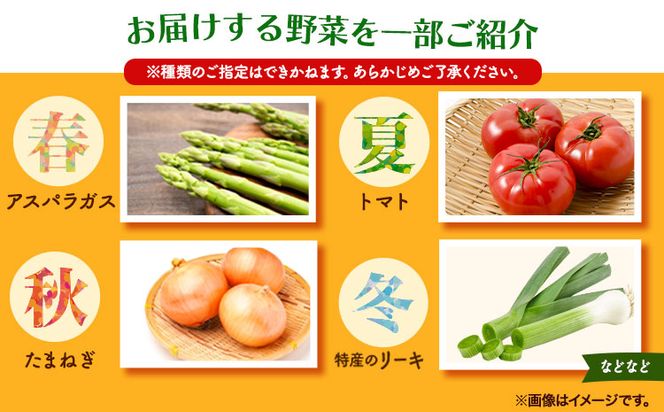 【6ヶ月定期便】旬の新鮮野菜詰め合わせセット 野菜5～10品目入 青空市きらり《お申込み月の翌月から出荷開始》岡山県 矢掛町 野菜 野菜詰め合わせ トマト きゅうり アスパラガス 玉ねぎ リーキ 送料無料---osy_cakystei_24_43500_mo6num_s---