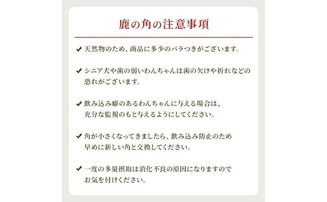 鹿の角　セットＢ【11本】 2025-091 3本☆鹿の角☆シカの角☆犬のおもちゃ - メルカリ
