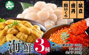 3611.うに100g×2 鱒いくら醤油漬け100g×2 ホタテ300g 3種 セット ウニ 雲丹  鱒 イクラ 醤油漬け ほたて 帆立 海鮮 冷凍 海鮮丼 送料無料 北海道 弟子屈町