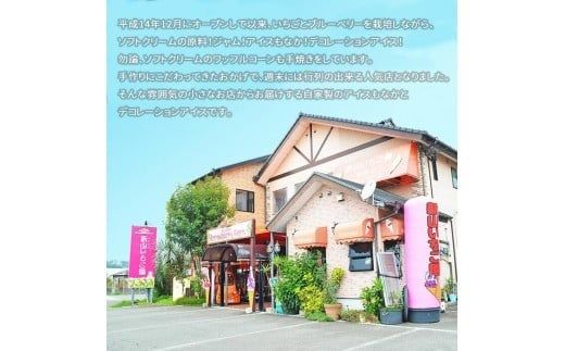 ＜自家製アイスクリームセット＞2か月以内に順次出荷【c448_sn_x2】 アイス セット 自家製