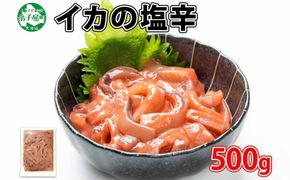 3163. イカの塩辛 500g イカ スルメイカ いか 珍味 海鮮 魚介 送料無料 北海道 弟子屈町