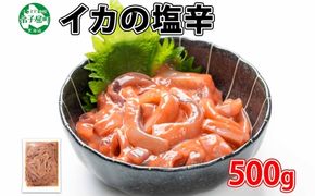 442. イカの塩辛 500g イカ スルメイカ いか 珍味 海鮮 魚介 送料無料 6000円 北海道 弟子屈町