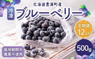 【定期便12カ月】北海道 豊浦町産 冷凍 ブルーベリー 500g 栽培期間中農薬不使用 TYUS005