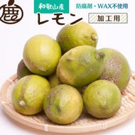 ［先行予約］加工用 レモン2.5kg+250g（傷み補償分）［和歌山有田産］［防腐剤・WAX不使用、安心の国産レモン］［わけあり・訳ありレモン］ CZ102