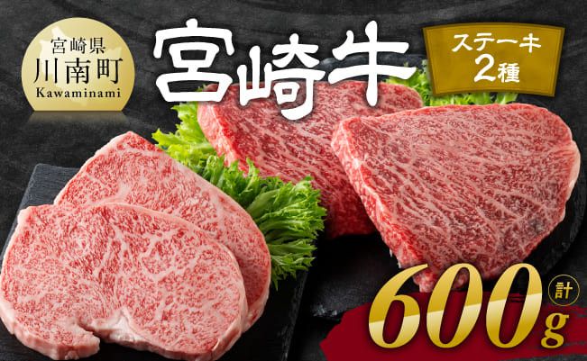 宮崎牛 ステーキ 2種 600g[肉 牛肉 国産 宮崎県産 宮崎牛 黒毛和牛 和牛 ステーキ BBQ 4等級 A4ランク ロース モモ E11118]