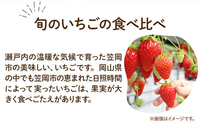 いちご食べ比べセット２種（「紅ほっぺ」「ゆめのか」「おいＣベリー」から２種お届け！）250g4パック 先行予約 JA笠岡アグリ《1月中旬出荷》岡山県 笠岡市 送料無料 苺 フルーツ 果物 お取り寄せ---K-03---