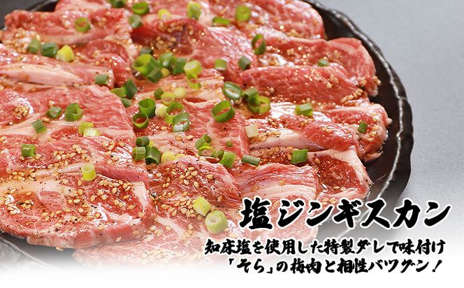 【定期便：全3回】知床ジンギスカン店「そら」ラム肩ロースジンギスカン2種セット×計600g（味付け×300g・塩×300g）【16011】