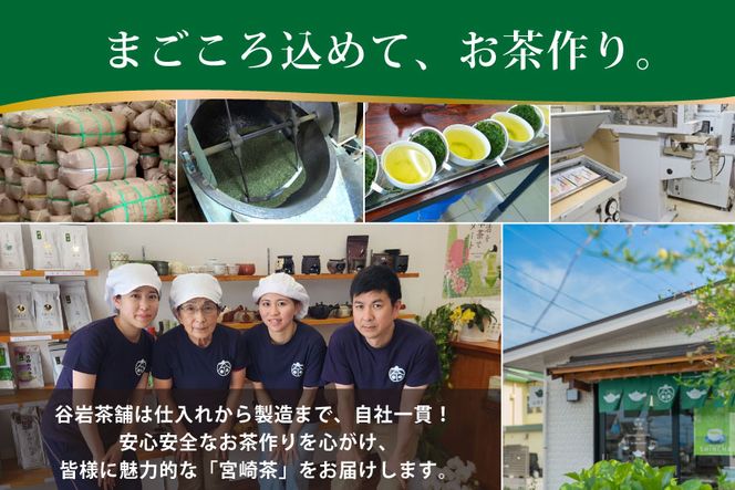 お茶 茶葉 プラチナ賞受賞茶 5本 セット 晟 70g×1本 深緑 100g×2本 朝霧しずく 70g×2本 [谷岩茶舗 宮崎県 日向市 452061601] セット 煎茶 釜炒り茶 緑茶 釜王 新緑 朝露しずく 晟