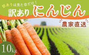 BH052 人参 訳あり 堀農園のこだわり人参 約10kg [ 野菜 訳アリ にんじん ニンジン キャロット 10キロ 先行予約 常備野菜 国産 贅沢宝庫 長崎県 島原市 ]