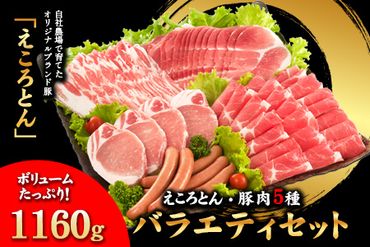 えころとん・豚肉5種(計1160g) バラエティセット[60日以内に出荷予定(土日祝除く)]熊本県産 有限会社ファームヨシダ---so_ffarmy5vrt_60d_23_15500_1160g---
