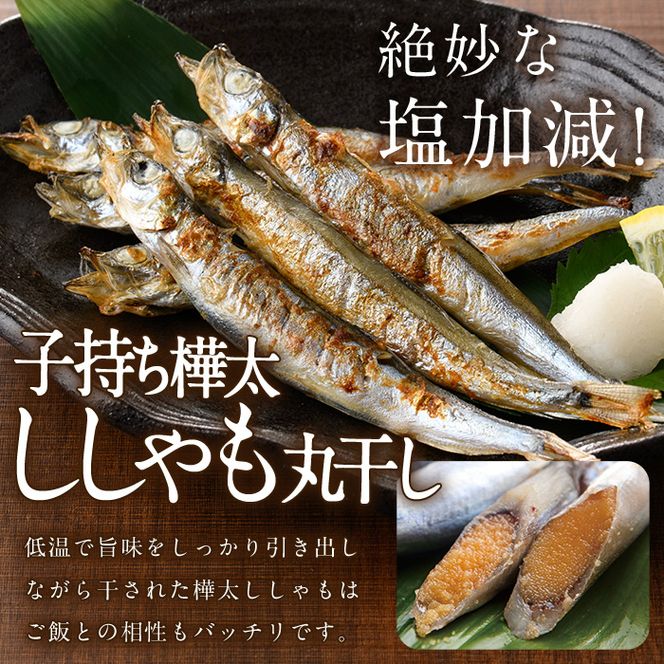 子持ち樺太ししゃも丸干し (500g×1袋) 子持ち樺太ししゃものフライ (450g×1袋) (合計950g) 干物 ししゃも シシャモ 丸干し 揚げ物 惣菜 お惣菜 魚 海鮮 冷凍 大分県 佐伯市【AP85】【(株)ヤマジン】