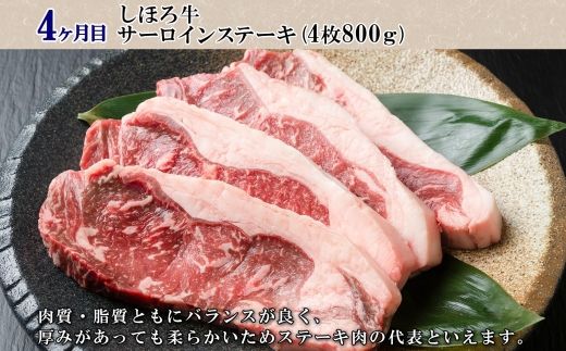 北海道 プレミアム 定期便 全4回 ゴロッケ ローストビーフ よつ葉 バター フライドポテト しほろ牛  サーロイン ステーキ コロッケ 牛 肉 ビーフ セット 牛 赤身肉 国産牛 肉 ビーフ セット 国産 頒布会 送料無料 十勝 士幌町【X24】