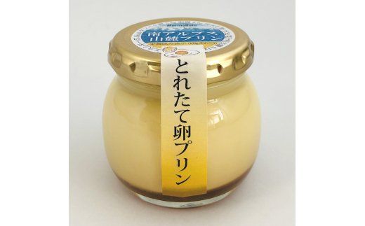 南アルプス山麓プリン（とれたて卵のプリン）１６本セット　ぷりん プリン たまご 卵 鶏卵 お菓子 おやつ スイーツ