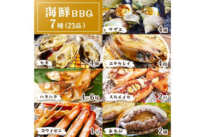 大満足！京丹後・海鮮BBQ　Fセット　豪華盛り合わせ　生ズワイガニ　アワビ付　7種23品（4～5人前）　YK00147