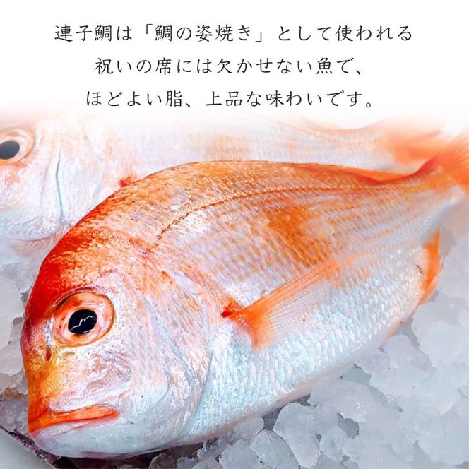 若狭湾 天然 鯖の西京漬け 鯛の一夜干し セット＜京風料理 新橋謹製＞≪京都 若狭 天然 国産 味噌 正月 新年≫ ※北海道・沖縄・離島への配送不可