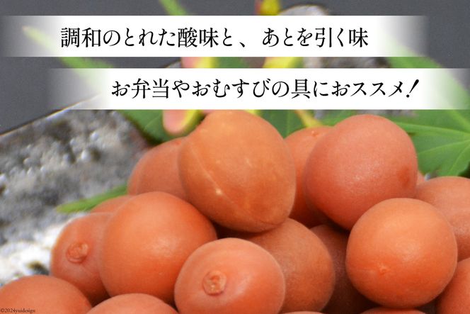 【6回 定期便 毎月】【カリカリ】甲州小梅 300g [山梨農産食品 山梨県 韮崎市 20742549] 梅干し 梅干 うめぼし 梅 小粒 小梅 カリカリ梅 国産 おやつ