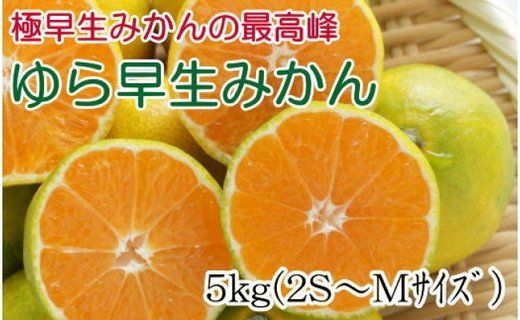 ［極早生みかんの逸品］有田産ゆら早生みかん約5kg★2026年10月中旬頃より順次発送 BZ045