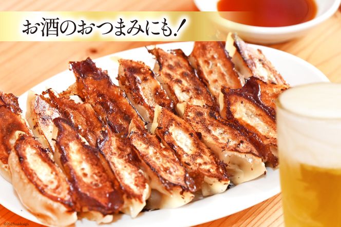 【AH019】 焼くだけ！一か月に1500個売り上げる餃子 45個（15個×3パック）