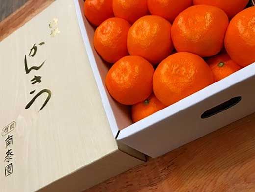 年内発送 完熟早生 有田みかん 化粧箱 特秀 L サイズ 32玉入 和歌山 南泰園 みかん BS632