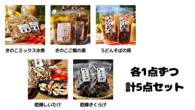 きのこ の 加工品 詰め合わせ 5点セット （茨城県共通返礼品：城里町） きのこミックス 野菜 水煮 国産 きのこ ご飯の素 国産 うどん そばの具 乾燥 しいたけ 乾燥 きくらげ バラエティ セット 乾燥きのこ  [DY004us]