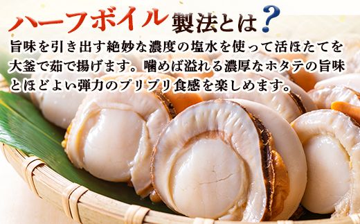 冷凍ハーフボイルほたて500ｇ（15～17粒） オホーツク産【1600801】