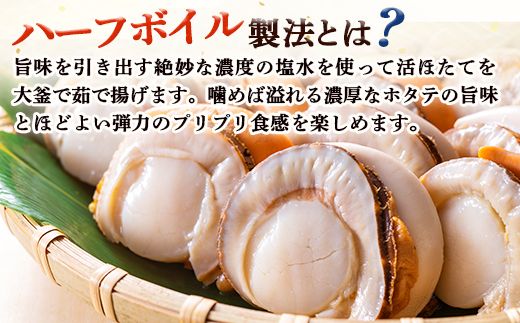 冷凍ハーフボイルほたて500ｇ×2（30～34粒）オホーツク産【16009】