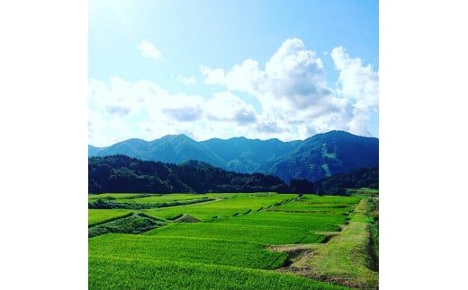 【米がうまい！新潟県産有機栽培コシヒカリ】貝沼農場のおかゆ 缶詰（あずき入り白米粥×9缶） 1067003