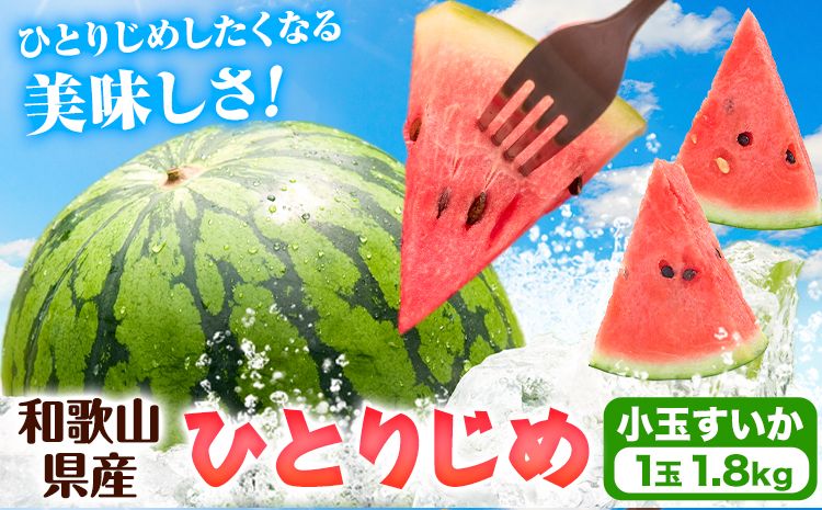 紀州和歌山産 小玉 スイカ 「ひとりじめ」 1玉 魚鶴商店[2026年6月上旬-7月上旬頃出荷] 和歌山県 日高町 スイカ スイーツ フルーツ 果物 くだもの すいか---wsh_uot148_6j7j_25_10000_1t---