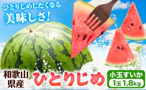 紀州和歌山産 小玉 スイカ 「ひとりじめ」 1玉 魚鶴商店《2025年6月上旬-6月下旬頃出荷》 和歌山県 日高町 スイカ スイーツ フルーツ 果物 くだもの すいか---wsh_uot38_6j6g_24_10000_1t---