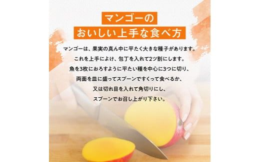 【令和8年発送】宮崎県産完熟マンゴー　三國農園　完熟マンゴー3L×2玉 【 果物 フルーツ マンゴー 宮崎県産 完熟マンゴー みやざきマンゴー 】 [C08302]