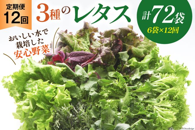 【12回定期便】富山のおいしい水で生産した安心野菜（6袋）[北陸機材 富山県 舟橋村 57050147] 野菜 野菜セット フラワーリーフ フリルレタス マルチレタス 水耕栽培 定期便