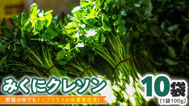 【 先行予約 】 みくにクレソン100ｇ×10袋 美容 健康 野菜 スーパーフード [CY003ci]