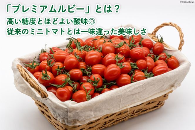 AH114宝石のように輝くトマト プレミアムルビー3kg 【 島原市 トマト 農家直送 】
