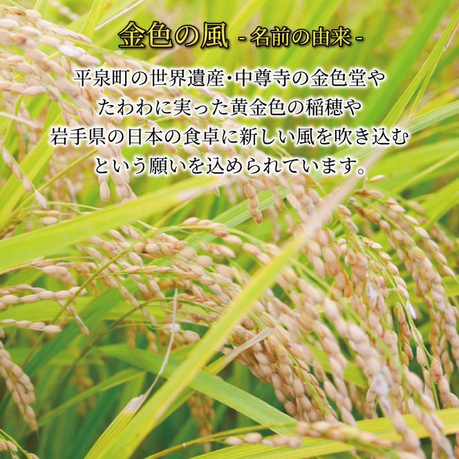 米 定期便 2kg 2ヶ月 精米 一等米 金色の風 岩手県産 ご飯 白米 [56500572_1]