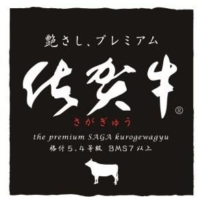 佐賀牛焼肉セット 800g 【牛肉 牛 焼肉 ステーキ ロース BBQ キャンプ 精肉】(H066113)