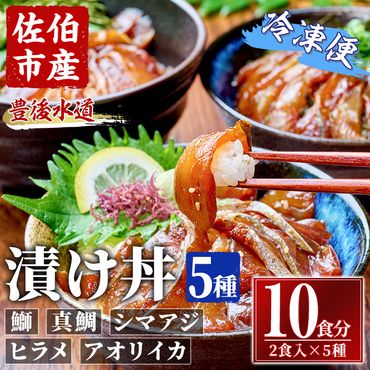 漬け丼 5種セット (計10食分・2食入×5種) りゅうきゅう あつめし 魚介 鰤 ブリ 真鯛 タイ シマアジ アジ ヒラメ 鮃 アオリイカ イカ 冷凍 海鮮 海の直売所 大分県 佐伯市【AS147】【海べ (株)】