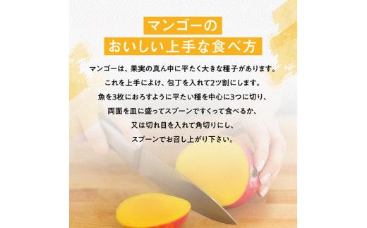 【令和8年発送】宮崎県産完熟マンゴー　三國農園　完熟マンゴー2玉（約1kg） 【 果物 フルーツ マンゴー 宮崎県産 完熟マンゴー みやざきマンゴー 】 [C08303]