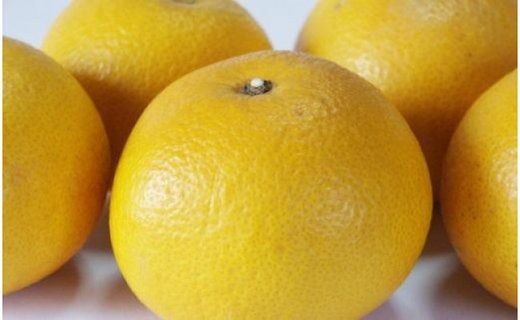 ［手選果］有田産の八朔10kg（Lまたは2Lサイズいずれかお届け）★2026年1月下旬より順次発送 	BZ089