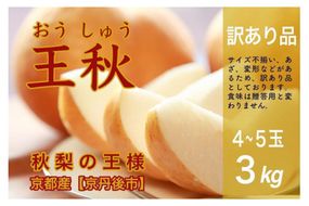 【先行予約／数量限定30】【訳あり】秋の王様 王秋 3kg（4～5玉）（2024年11月上旬～発送）　国産 なし ナシ 梨 2024フルーツ ふるーつ 果物 くだもの 農家応援 生産者応援 WR00003