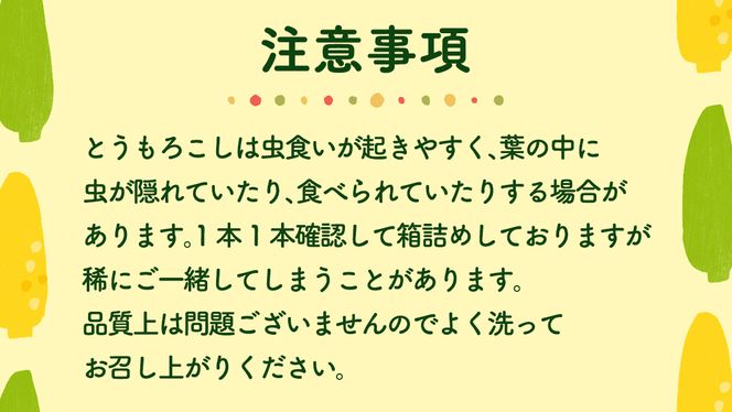 【先行予約 2026年6月中旬以降発送 】【 令和8年産 】 朝採り とうもろこし （ ゴールドラッシュ ） 約 6kg トウモロコシ スイートコーン コーン 野菜 産地直送 期間限定 極甘 岩田さん 昼めし旅 [AX019ya]